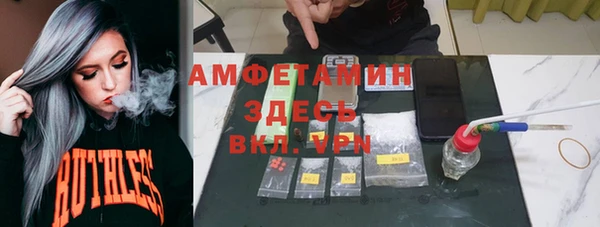 гидра Майский