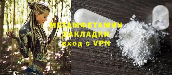 индика Медвежьегорск