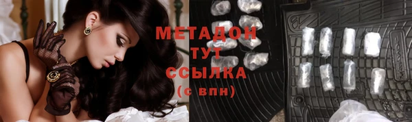 индика Медвежьегорск