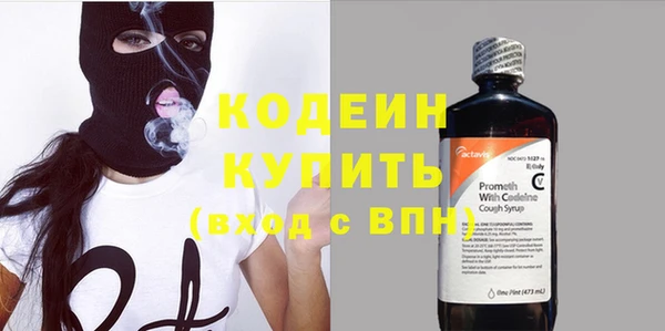 гидра Майский