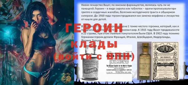 индика Медвежьегорск