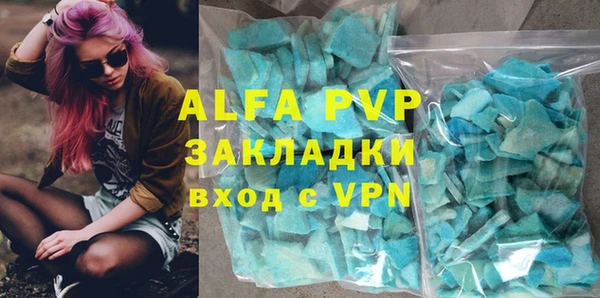 индика Медвежьегорск