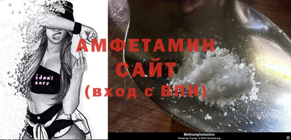 индика Медвежьегорск