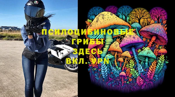 индика Медвежьегорск