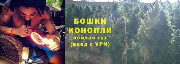гидра Майский