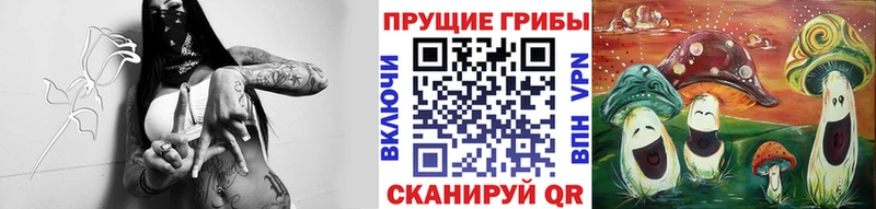 Галлюциногенные грибы Cubensis  наркота  Михайловск 