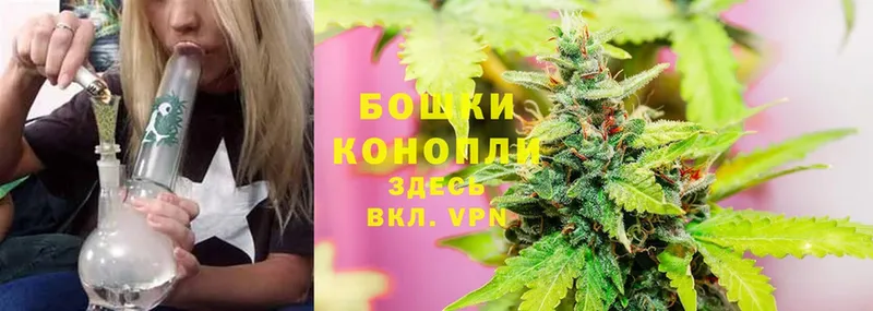 блэк спрут зеркало  Михайловск  Конопля THC 21%  купить закладку 