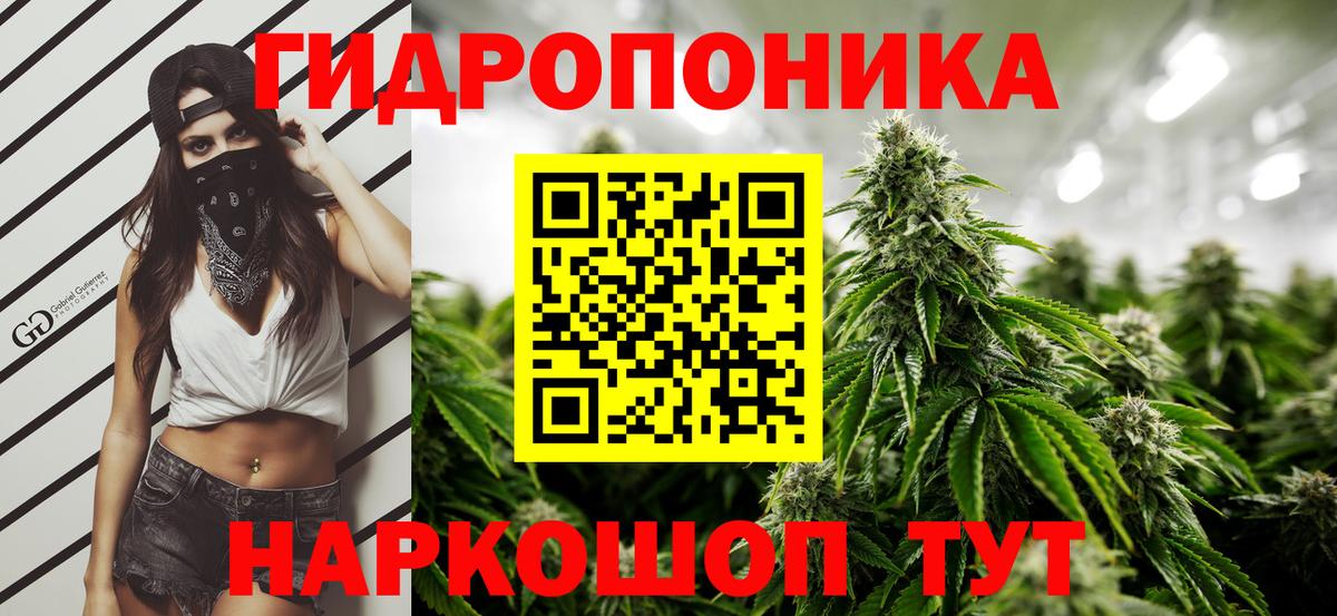 МАРИХУАНА тримм  Вход с VPN  МАРИХУАНА семена  Михайловск  Бошки марихуана гибрид  Шишки марихуана семена 